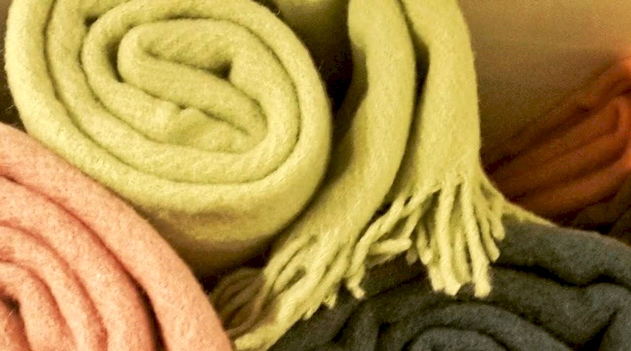 Battaniye Yıkama (adet) 450 TL